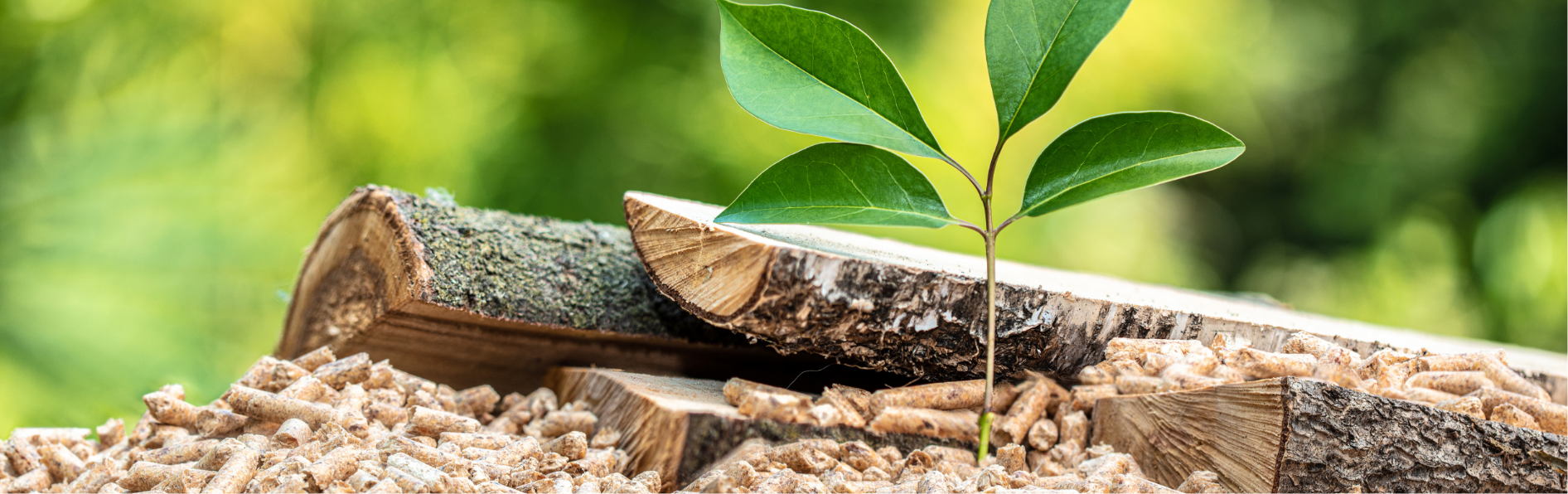 02_Kollektionen/Lösungen